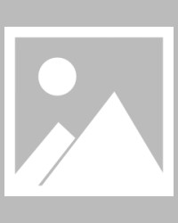  法兰克福新援首秀破门助球队取三分  