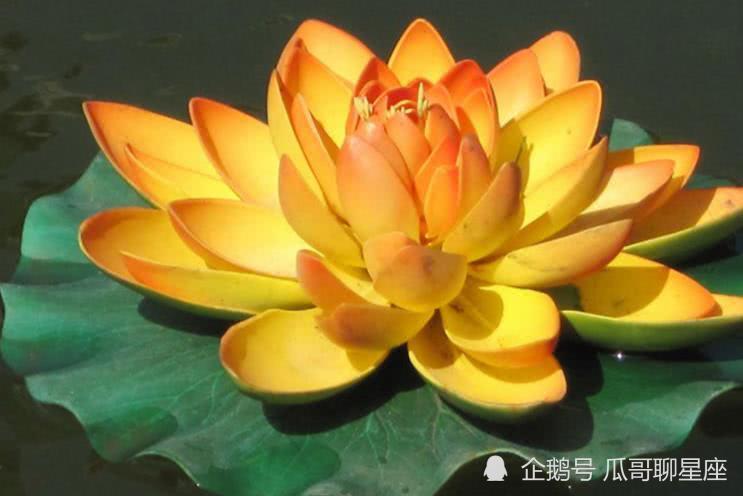  多特蒙德青年军逆袭升至第三  